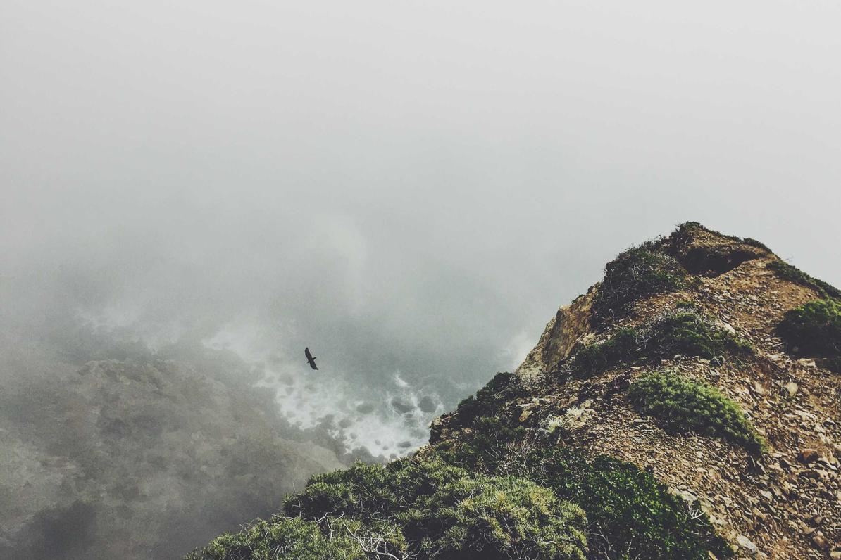 Blanditiis debitis eos